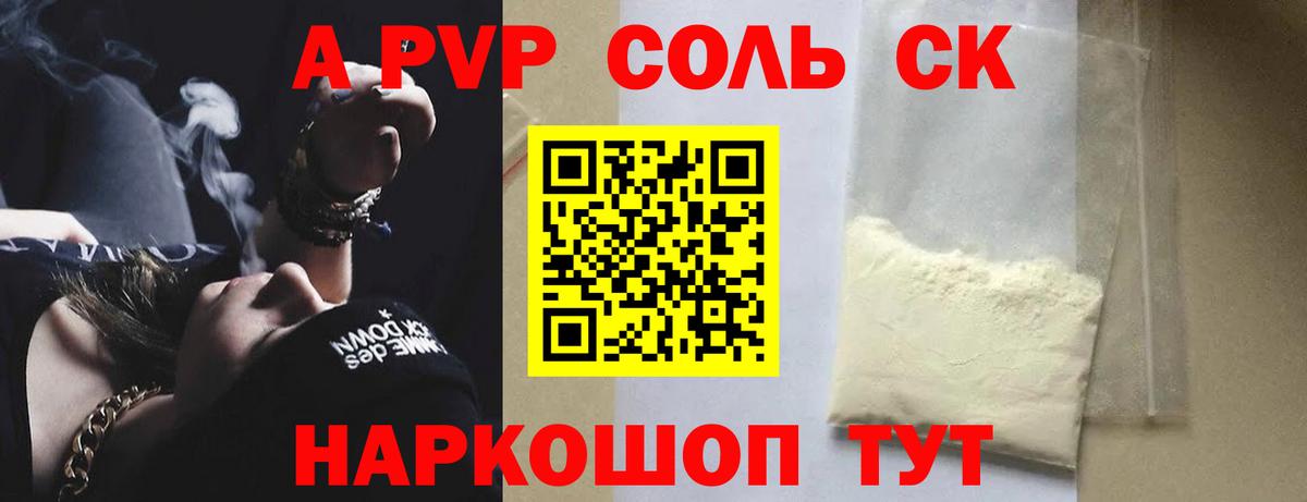 Альфа ПВП СК Курчалой