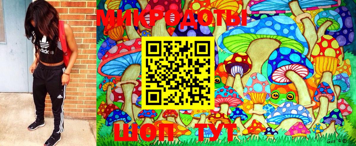 Галлюциногенные грибы ЛСД Курчалой