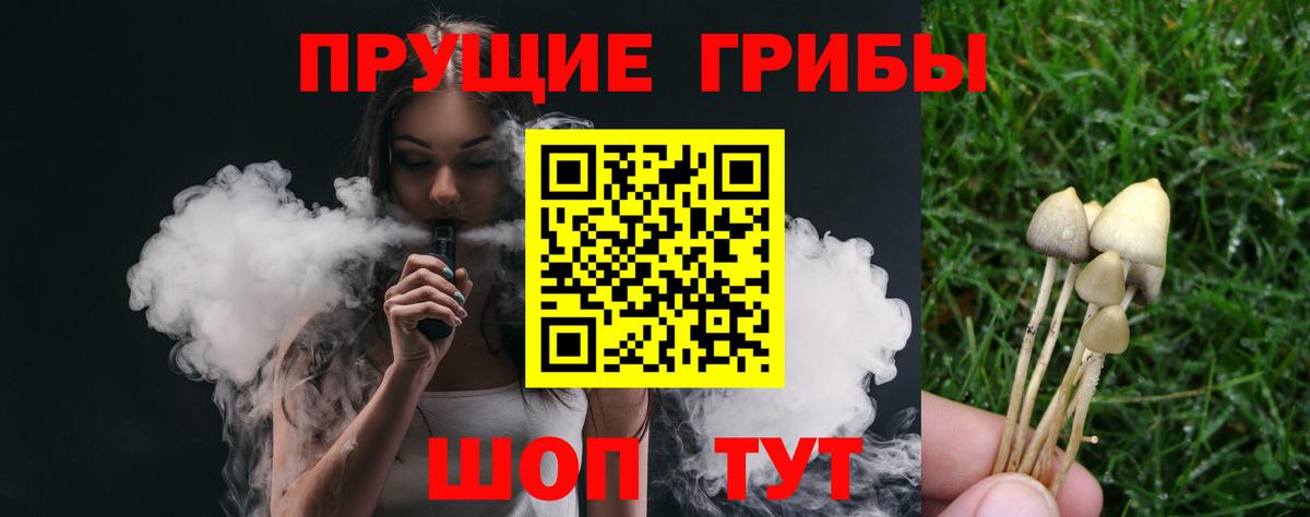 Псилоцибиновые грибы Cubensis  Псилоцибиновые грибы прущие грибы  Вход с VPN  Курчалой 